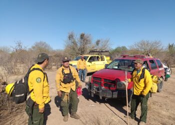 Combate  Bomberos Tres Incendios Forestales en área rural