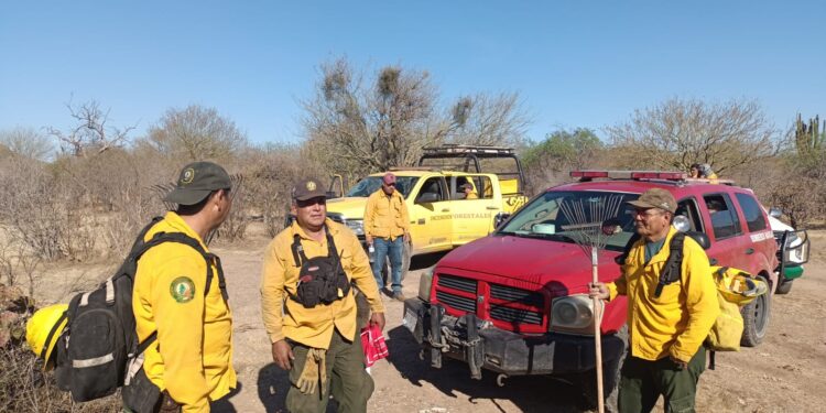 Combate  Bomberos Tres Incendios Forestales en área rural