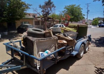 ¡Intensifican trabajos de prevención contra el Mosco!