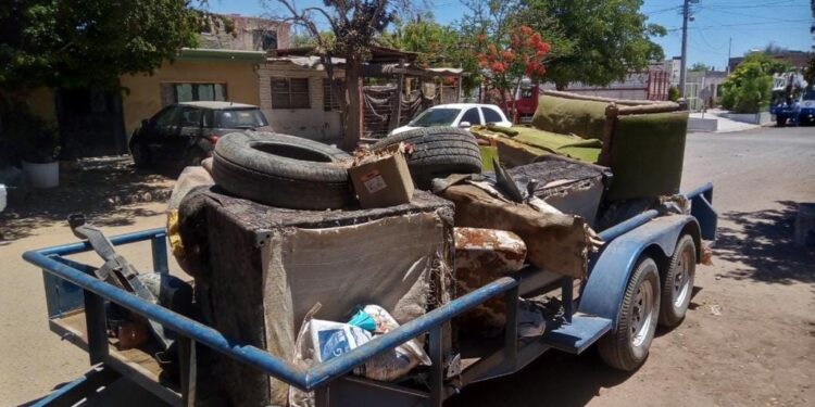 ¡Intensifican trabajos de prevención contra el Mosco!