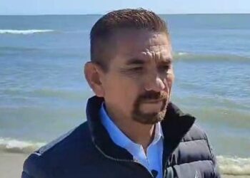 Restos de fauna marina corresponden a actividades pesqueras en regla y no representan daños ecológicos: Gobierno Municipal.