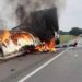 Accidente en carretera de Tamaulipas deja 13 muertos