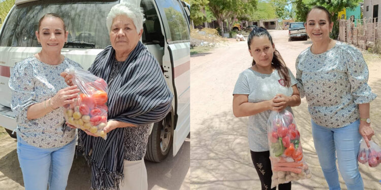 Presidenta De Dif Angelica Mendivil Llevó Alimentos A Colonia Colosio.