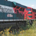 Grupo México. Acciones de unidad ferroviaria caen tras expropiación de vía