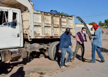Iniciarán el sábado jornadas de mega descacharre para “casa limpia”