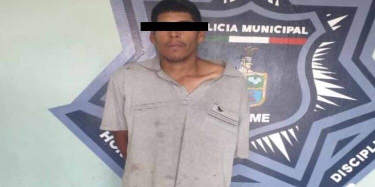 CAPTURA GRUPO UMAV A SUJETO POR VIOLENCIA FAMILIAR EN LA COLONIA SONORA