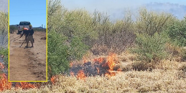 Intensifica combate brigada estatal de manejo de fuego