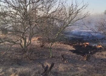 Bomberos abate cinco incendios forestales; piden no quemar basura