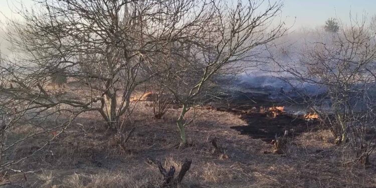 Bomberos abate cinco incendios forestales; piden no quemar basura