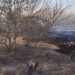 Bomberos abate cinco incendios forestales; piden no quemar basura