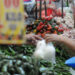 ¡Un respiro! Inflación en México baja en la primera quincena de abril a 6.24%