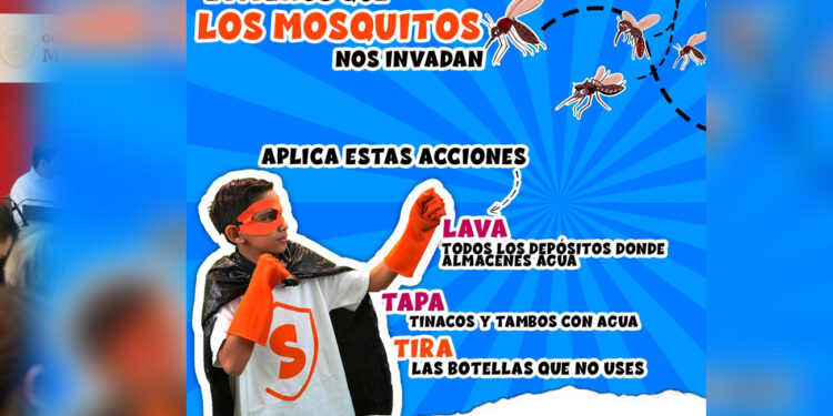Elimina Salud Sonora más de un millón de criaderos de mosquitos en el estado