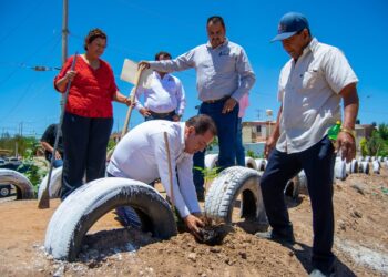 Entregan  arbolitos  para seguir con la reforestación del bordo del Infovit Alamito.