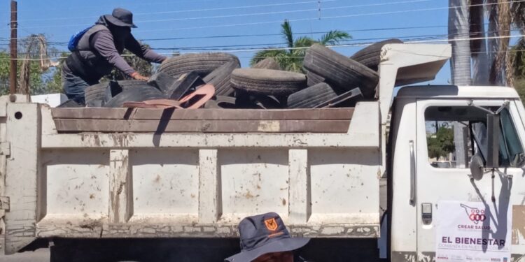Sacan navojoenses de sus patios otra 11 tonaladas de cacharros