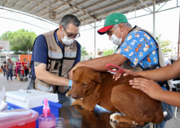 Gobierno de Sonora lleva 164 atenciones para animales de compañía de Los Olivos, en Hermosillo
