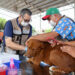 Gobierno de Sonora lleva 164 atenciones para animales de compañía de Los Olivos, en Hermosillo