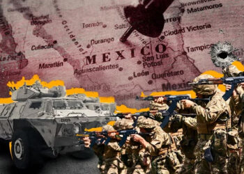 Senador de Texas busca que EEUU entrene al Ejército mexicano para combatir a los cárteles