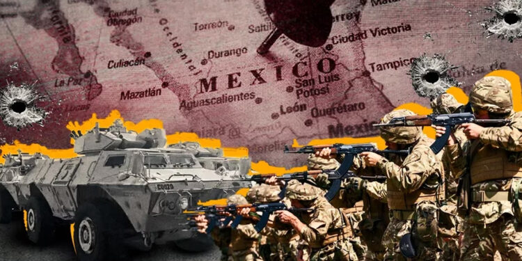 Senador de Texas busca que EEUU entrene al Ejército mexicano para combatir a los cárteles