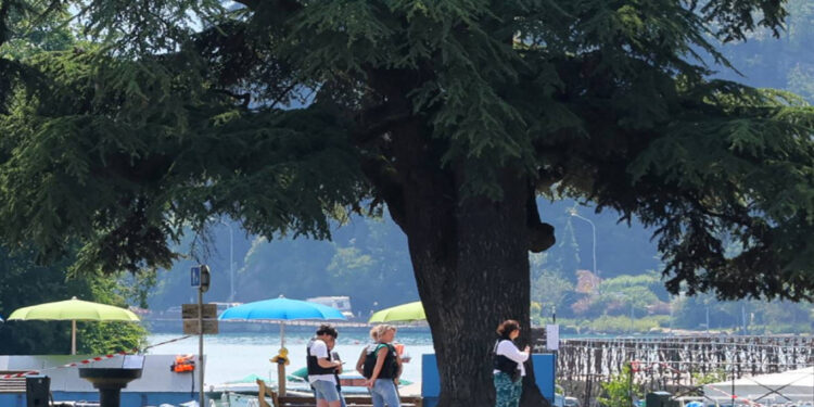 Hombre hiere a cuatro niños en un ataque con cuchillo en Francia