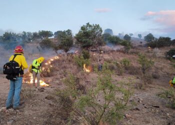 Fuerza de tarea de 143 personas atienden incendio forestal en Bacoachi