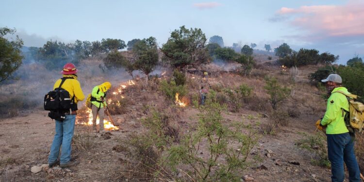 Fuerza de tarea de 143 personas atienden incendio forestal en Bacoachi