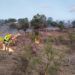 Fuerza de tarea de 143 personas atienden incendio forestal en Bacoachi