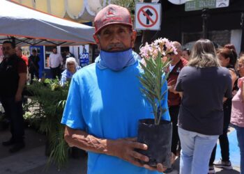 Buscan crear conciencia en el Día Nacional del Árbol
