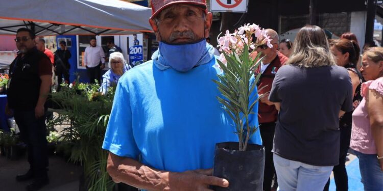 Buscan crear conciencia en el Día Nacional del Árbol