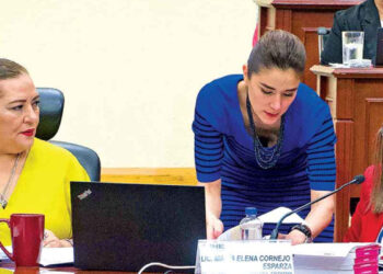 El INE pone bajo la lupa anuncios de aspirantes