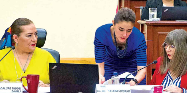 El INE pone bajo la lupa anuncios de aspirantes
