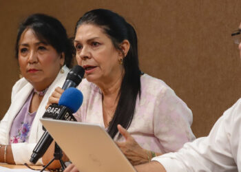 Realiza diputada Ernestina Castro parlamento abierto en materia de seguridad privada.