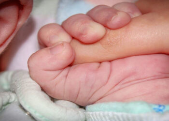 Niño de 5 años, estando drogado, le dispara a su hermano de 16 meses; detienen a los padres