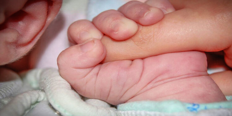 Niño de 5 años, estando drogado, le dispara a su hermano de 16 meses; detienen a los padres