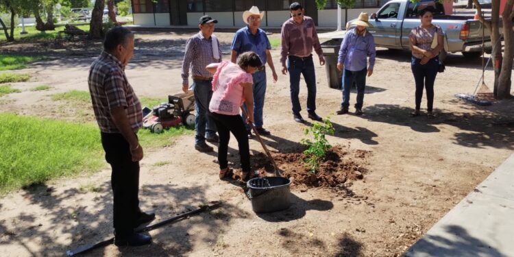 Gobierno Municipal de Huatabampo apoya un regreso a clases seguro