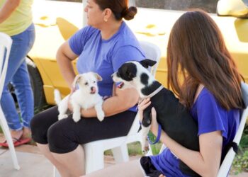 Inicia centro de atención animal jornadas de vacunación y desparasitación de mascotas