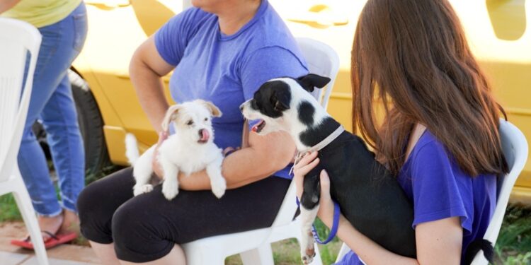 Inicia centro de atención animal jornadas de vacunación y desparasitación de mascotas