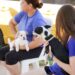 Inicia centro de atención animal jornadas de vacunación y desparasitación de mascotas