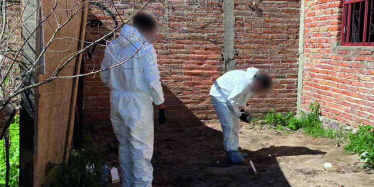 En finca de Lagos de Moreno hallan restos calcinados; analizan si son de jóvenes desaparecidos