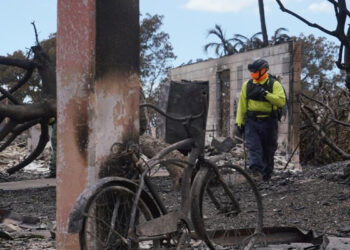 Sube a 93 cifra de muertos por incendios en Hawái; Maui parece ‘zona de guerra’