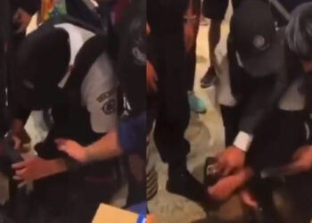 Denuncian maltrato a ‘lomito’ que entró a Plaza Satélite a resguardarse de la lluvia