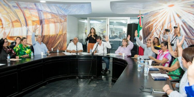 Tiene Navojoa Reglamento Para El Consejo De Inclusión Y Desarrollo Para Personas Con Discapacidad