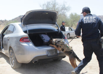 Avanza Policía Estatal para ser la mejor evaluada en el país: Secretaría de Seguridad Publica
