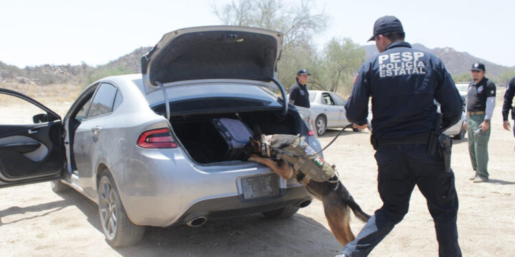 Avanza Policía Estatal para ser la mejor evaluada en el país: Secretaría de Seguridad Publica