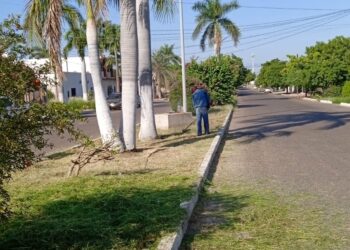 Atiende  Servicios Públicos los principales bulevares de Navojoa