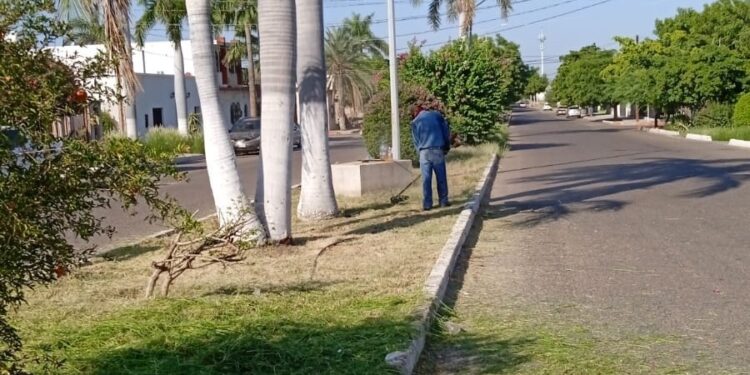 Atiende  Servicios Públicos los principales bulevares de Navojoa