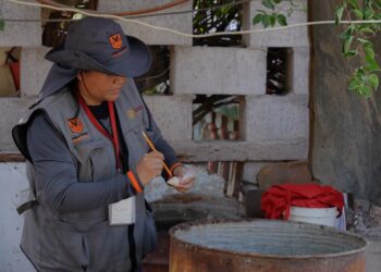 Disminuyen 94 por ciento casos de dengue en el estado: Gobierno de Sonora
