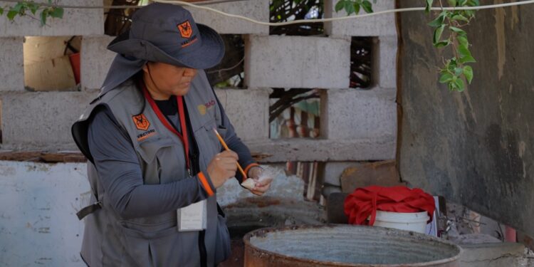 Disminuyen 94 por ciento casos de dengue en el estado: Gobierno de Sonora