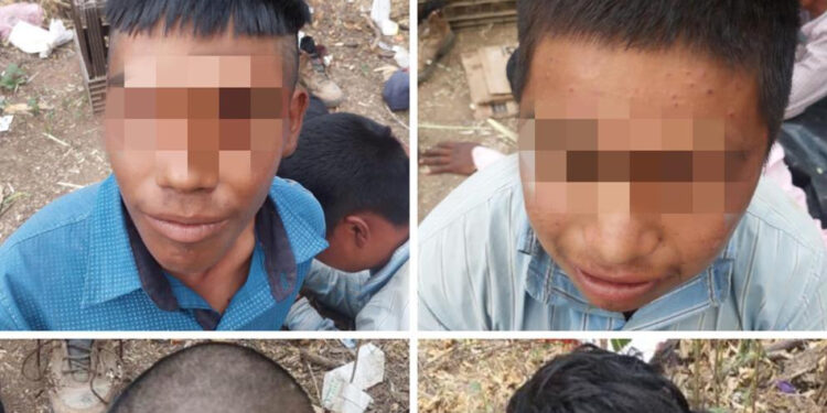 Asegura AMIC plantíos de marihuana en Magdalena de Kino