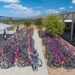 Entrega de bicicletas del programa EnBici, en Telesecundaria 198, en Bavispe