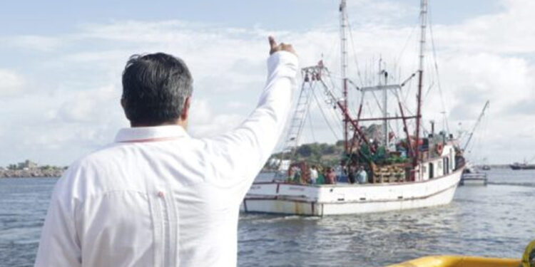 Oficializa Conapesca fechas y zonas para el levantamiento de veda de camarón